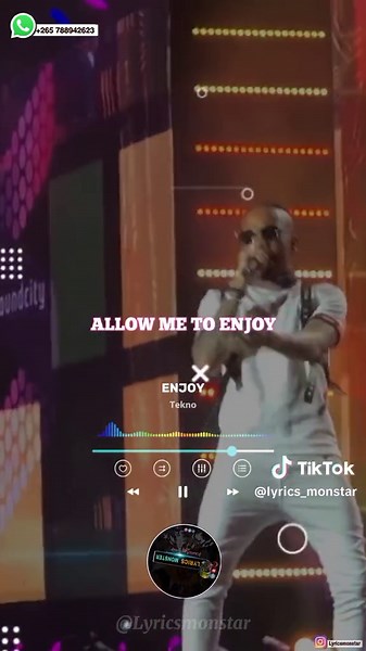 Enjoy Tekno Lyrics Video