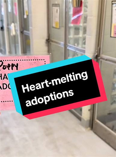 Heart-Melting Moments of Dog Adoption