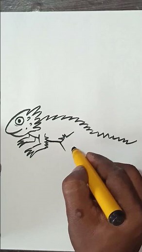 How to draw Bearded Dragon cartoon drawing#shorts