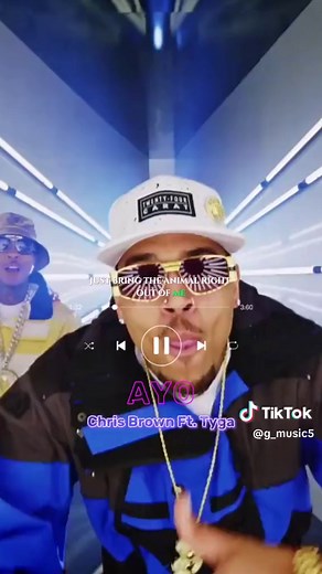 Chris Brown Ft. Tyga - Ayo Music Video