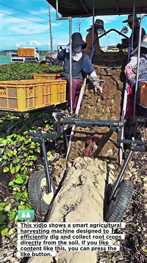 Smart Harvesting Machine in Action