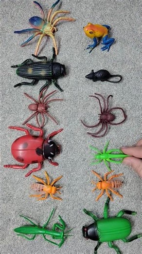 The Big Bug Guy 🦗 VS Tiny Insect Army #insects