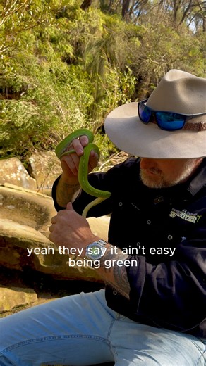 When Ray from Southern Highlands Snake Catchers wears the Green Tree Python, he doesn’t just wear the watch – he brings the real thing along too. A true legend with a python on his wrist and another coiled around his arm. Thanks for the epic shot, Ray! The Green Tree Python – bold, rare, and unmistakably Australian. | Blessington & Co