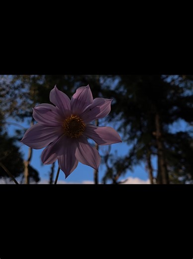 Edge 40 neo (FHD/60 fps) #ponmeenparati #viral #android #fyp #motorola