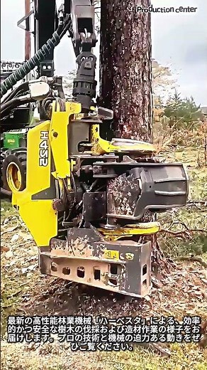 プロの林業！高性能ハーベスタによる驚異の伐採スピード #worker #process #forestry #machinery #harvester