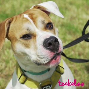 316 reactions · 69 shares |  January 2025 - Urgent Donor Appeal At...