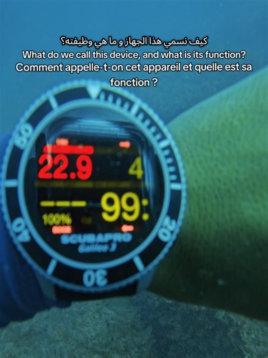 Understanding Scuba Diving Equipment and Its Functions