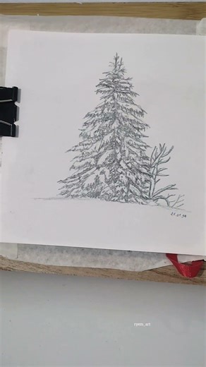 Final Result | Winter Cedar Tree Pencil Drawing