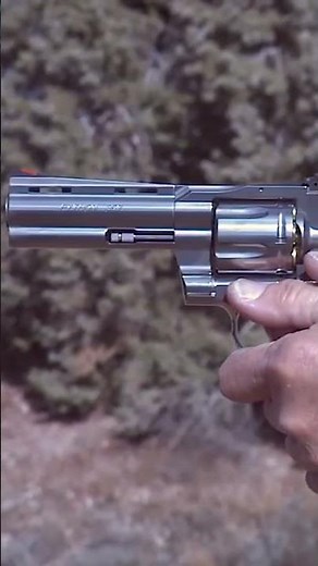 Colt Python #colt #yamilsued