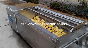 Brush Roller Type Potato Washing Peeling Machine | Potato Processing Machine Manufacturer and Supplier