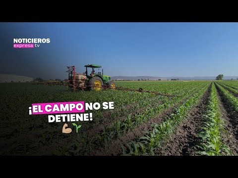 ¡El campo no se detiene! 💪🏽🌱