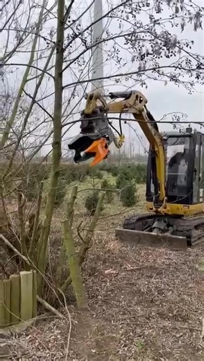Koala 150 Tree Shear and Mini CAT Excavator 🐨 www.mdemachinery.com #Caterpillar #excavatorlife #treeshear #excavators #Digger #constructionlife #plantmachinery #farminguk #agriculture | MDE Machinery