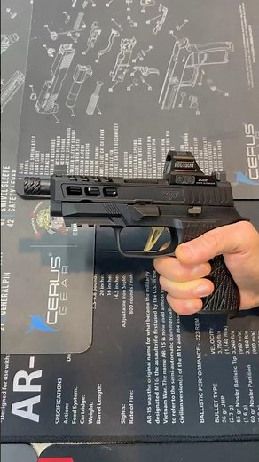 Experience the SIG P320 Wilson Combat trigger pull & reset! Perfect for EDC & Sig fans! #Airsoft