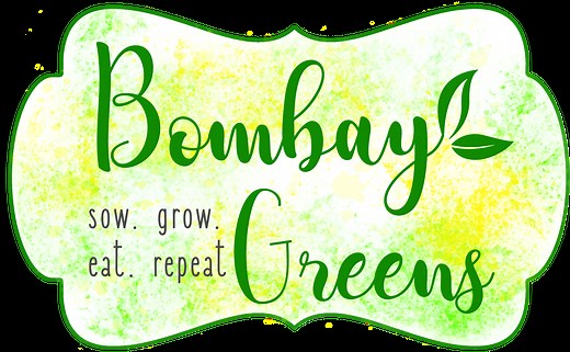 DIY Gardening Kit | 3 in 1 DIY Gardening Kits | Bombay Greens