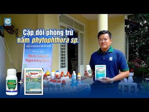Hội thảo kỹ thuật quản lý dịch hại tổng hợp trên sầu riêng