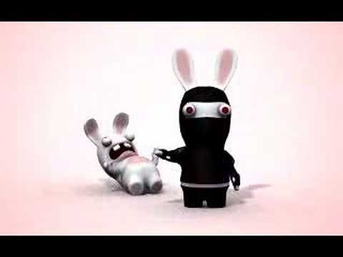 Ninja Rabbid Scream