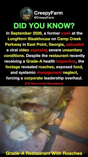 The Grade-A Restaurant With Roaches in the Kitchen