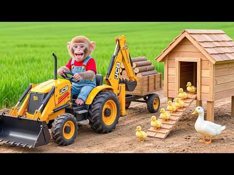 🐒🚜 Monkey Nana Uses a JCB Excavator to Collect WOOD… Rebuilding a New Home for the Ducks! 🪵🦆🏠