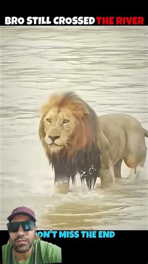 Lion vs Crocodile 😱 Ultimate Predator Battle | My Reaction #shorts