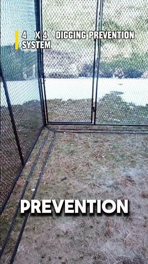Your Dog Can Dig Out in Minutes… Fix This Now