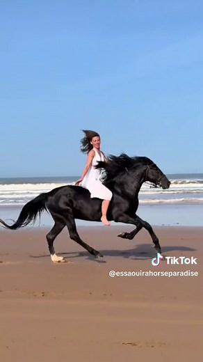 Morocco Horse Riding Holidays: Unforgettable Equestrian Adventures
