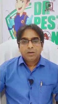 Testimonial - DR Pest Control