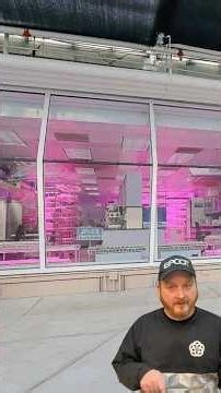 EPCOT Is Growing 30 TONS of Food?!