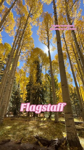 Day Trip to Flagstaff: Explore Nature and Attractions