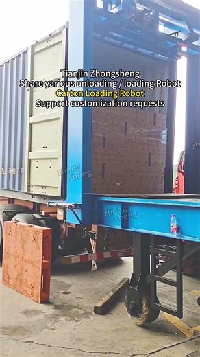 Carton Loading Robot