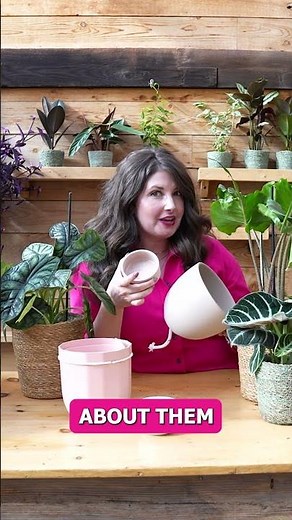 How to Use Self-Watering Pots Effectively