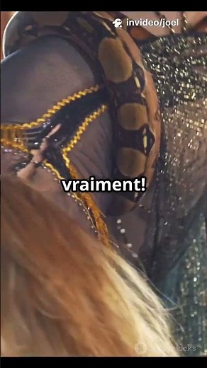 Le Python Royal: Roi des Serpents!