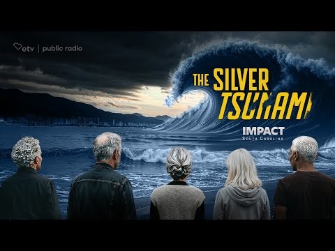The Silver Tsumani | IMPACT South Carolina