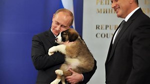 1.4M views · 317 reactions | Y cuando todos los esfuerzos de mejorar la imagen política de tu candidato fallen, agrega un cachorro a la ecuación y quizás esto resuelva tu problema. ;) -- Crédito video: Russia Today #Putin #ImagenPolítica #Política #ComPol #MarketingPolítico #MPRgroup | Washington Compol | Facebook