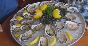 L’huître, une vraie perle? | RTS