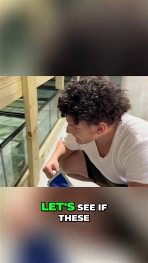 New fish tackle their first meal—who's hungry? | Rob’s Aquatics