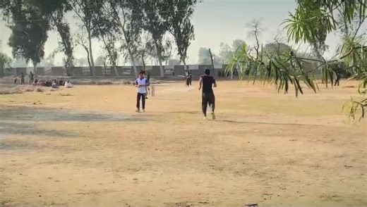 NPL Final Match Highlights: A Cricket Lover's Perspective