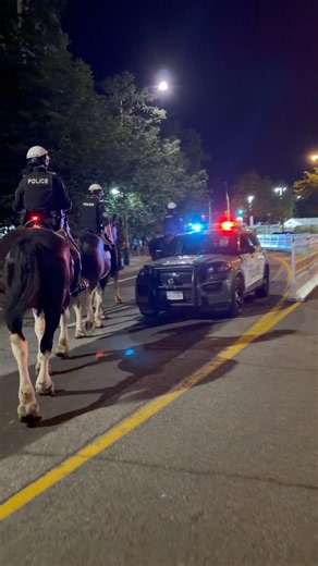 Toronto Police Mounted Unit on patrol
