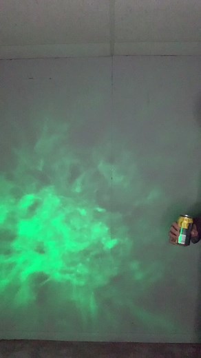 My goal is to be Slappy the Squirrel when I’m old #animaniacs #animanicscosplay #slappythesquirrel #slappysquirrel