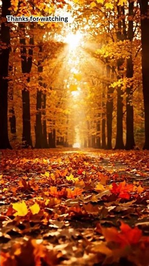 Relaxing Autumn Aesthetic 🍂🍁| Spreading Leaves Vibes#aivlog # vibe #winter #autumn #viralshorts