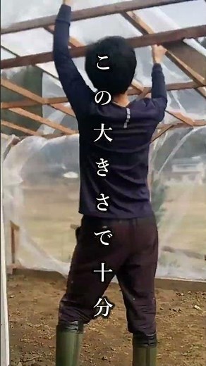 ビニールハウスの作り方 DIYでできる育苗ハウス #ビニールハウス #農業 #家庭菜園