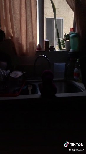 Barney Doll Ending Explained