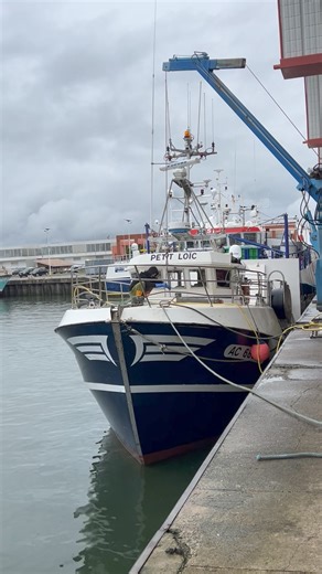 Débarque du Petit Loïc,ce midi | J'aime la mer et les bateaux