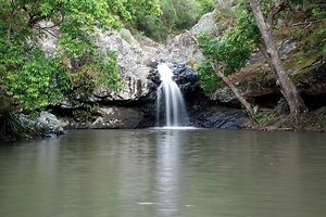 Kondalilla National Park - Alchetron, the free social encyclopedia