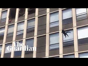 Cat jumps from fifth-floor of burning Chicago building and survives unharmed