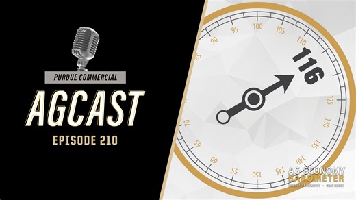 AgCast 210: Producer Sentiment Stabilizes, But Future Expectations Slip