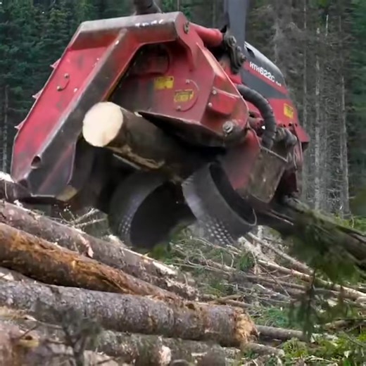 Simplifying Logging: Techniques and Tips