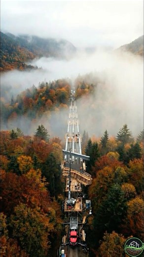 Building a Mountain Bridge Through a Foggy Forest | Engineering Concept