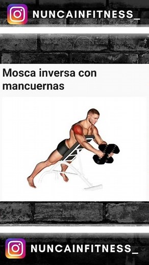 Vuelos (Mosca) Inverso con mancuernas - TÉCNICA - Ejercicios para Hombros (Deltoides Posterior)