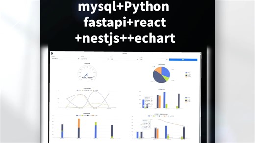 手搓可视化fastapi+react+nestjs++echart
