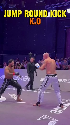 Powerful Jump Round Kick in MMA and Karate